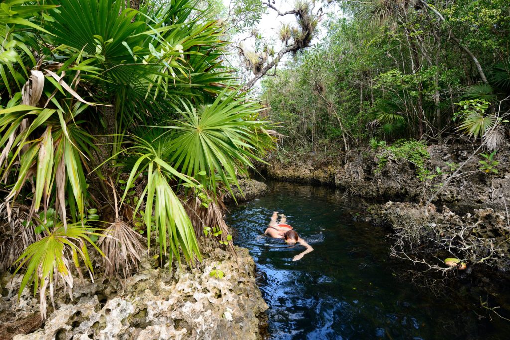 Cueva de los Peces, Playa Larga